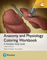 Anatomy_and_Physiology_Coloring (1).pdf